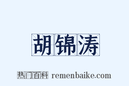 胡锦涛是什么意思的图片